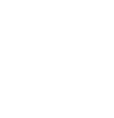 TRIADS DIGITAL